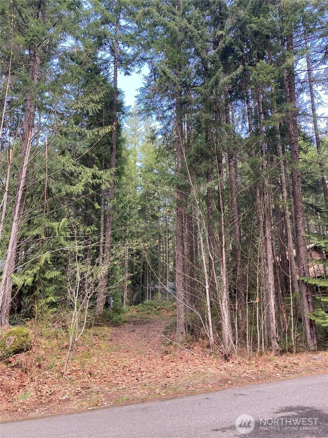 Image 2 Image 2