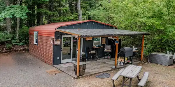 31 Fawn