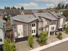 15720 Meadow
