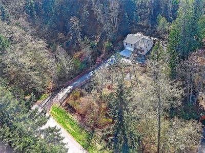 1676 Vine Maple