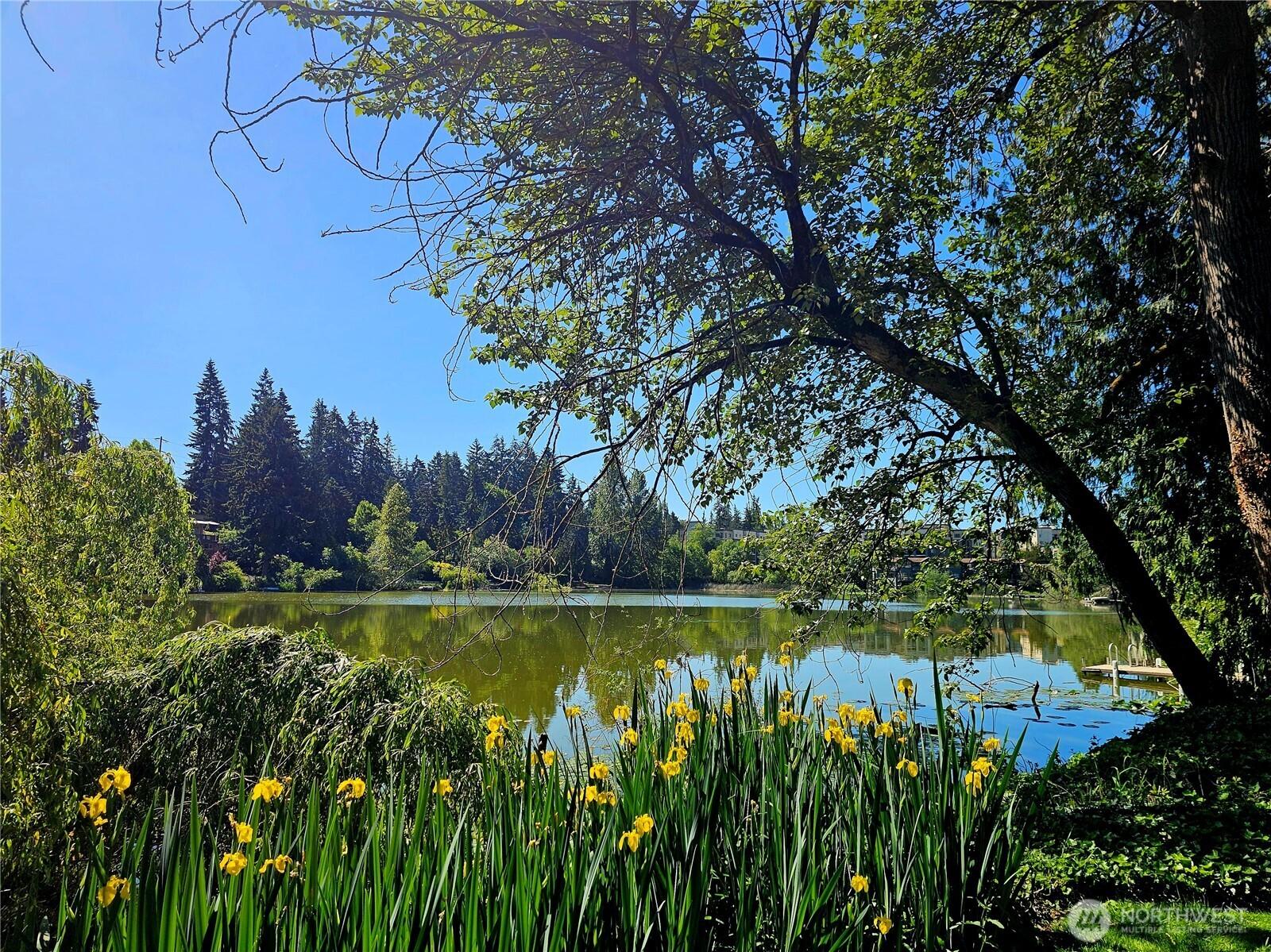 Image 1 Image 1