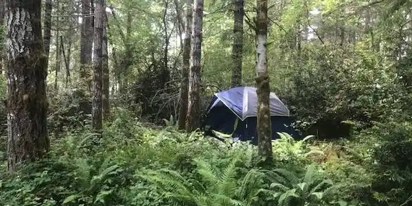131 Duck Cove