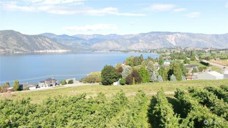 160 Winesap