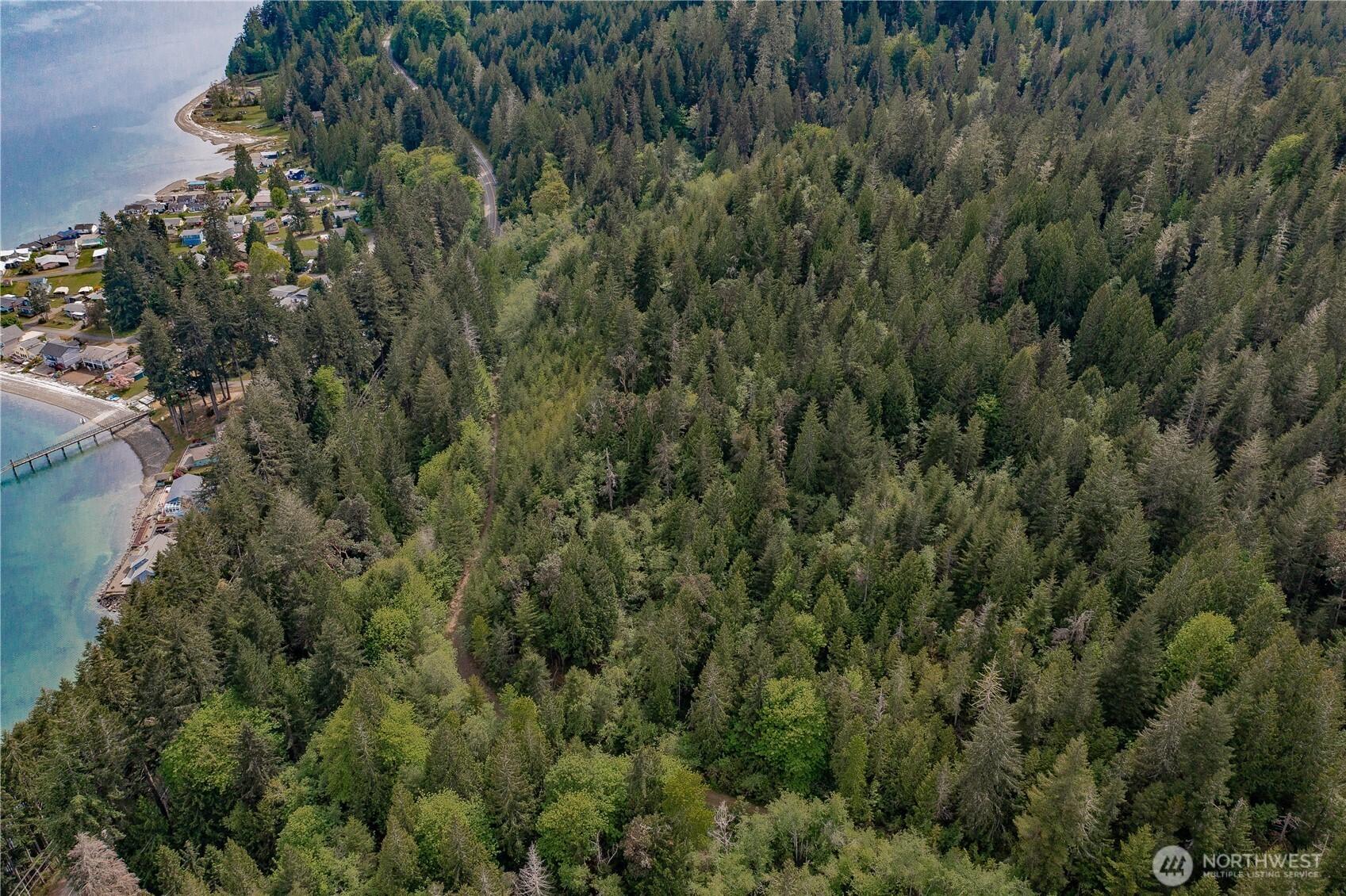 Image 4 Image 4