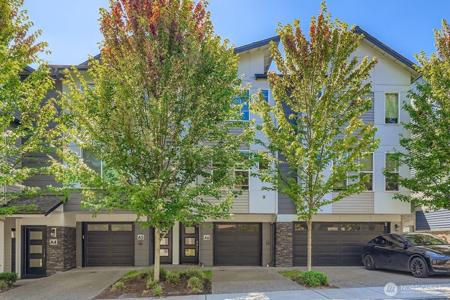 15720 Meadow