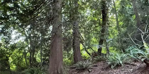 Image 3 Image 3