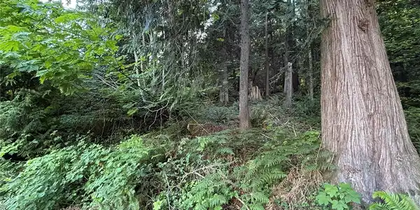 Image 4 Image 4