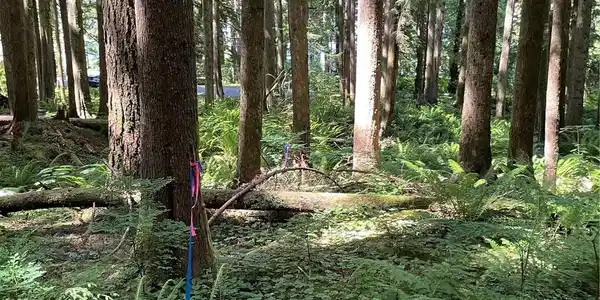Image 3 Image 3