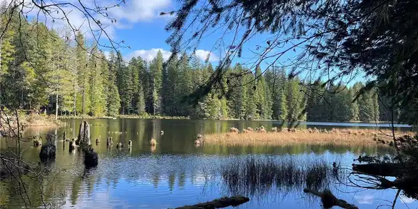 0 Lake Christine