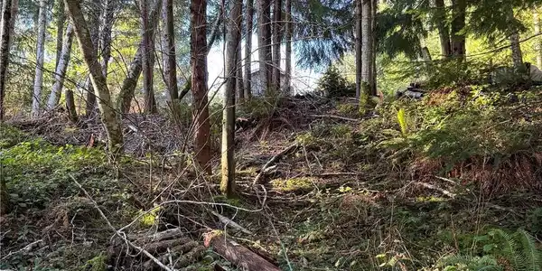 Image 3 Image 3