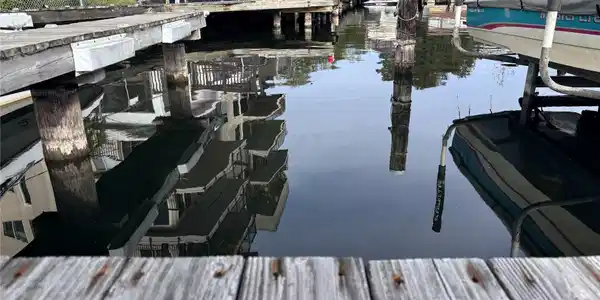 Image 3 Image 3