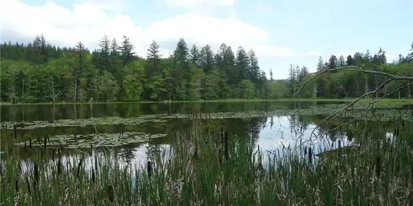 0 Rice Lake