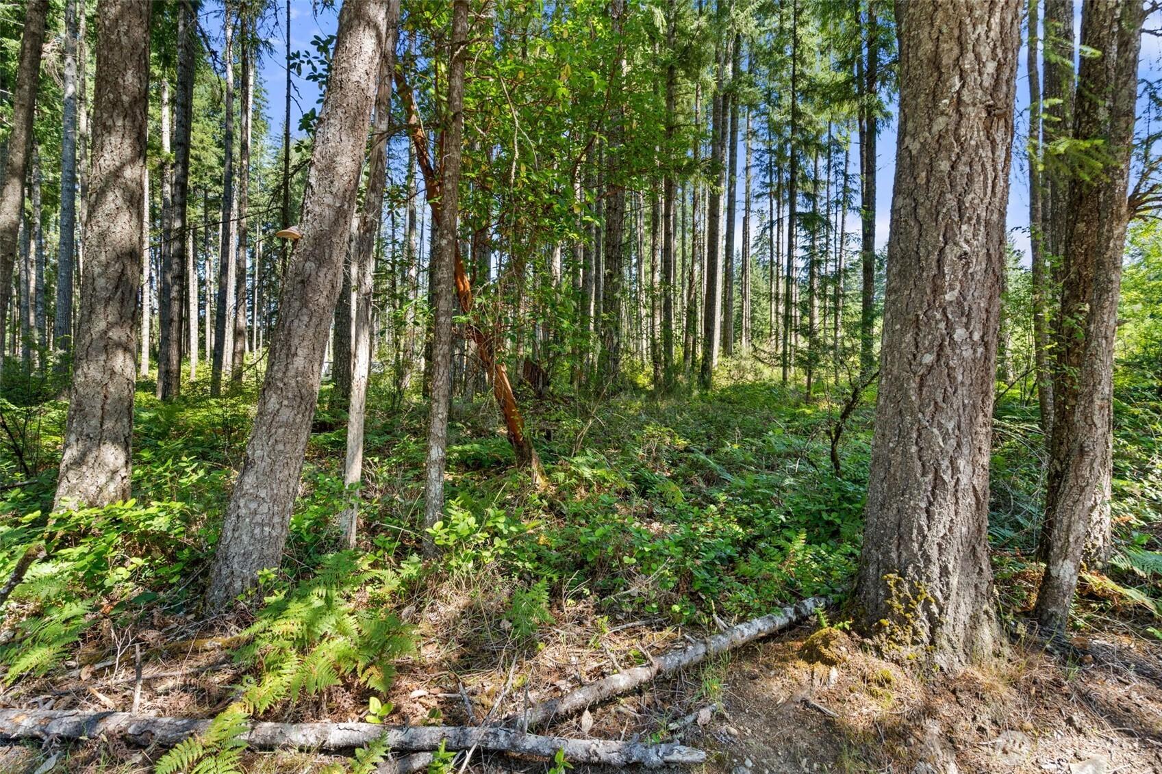 Image 2 Image 2
