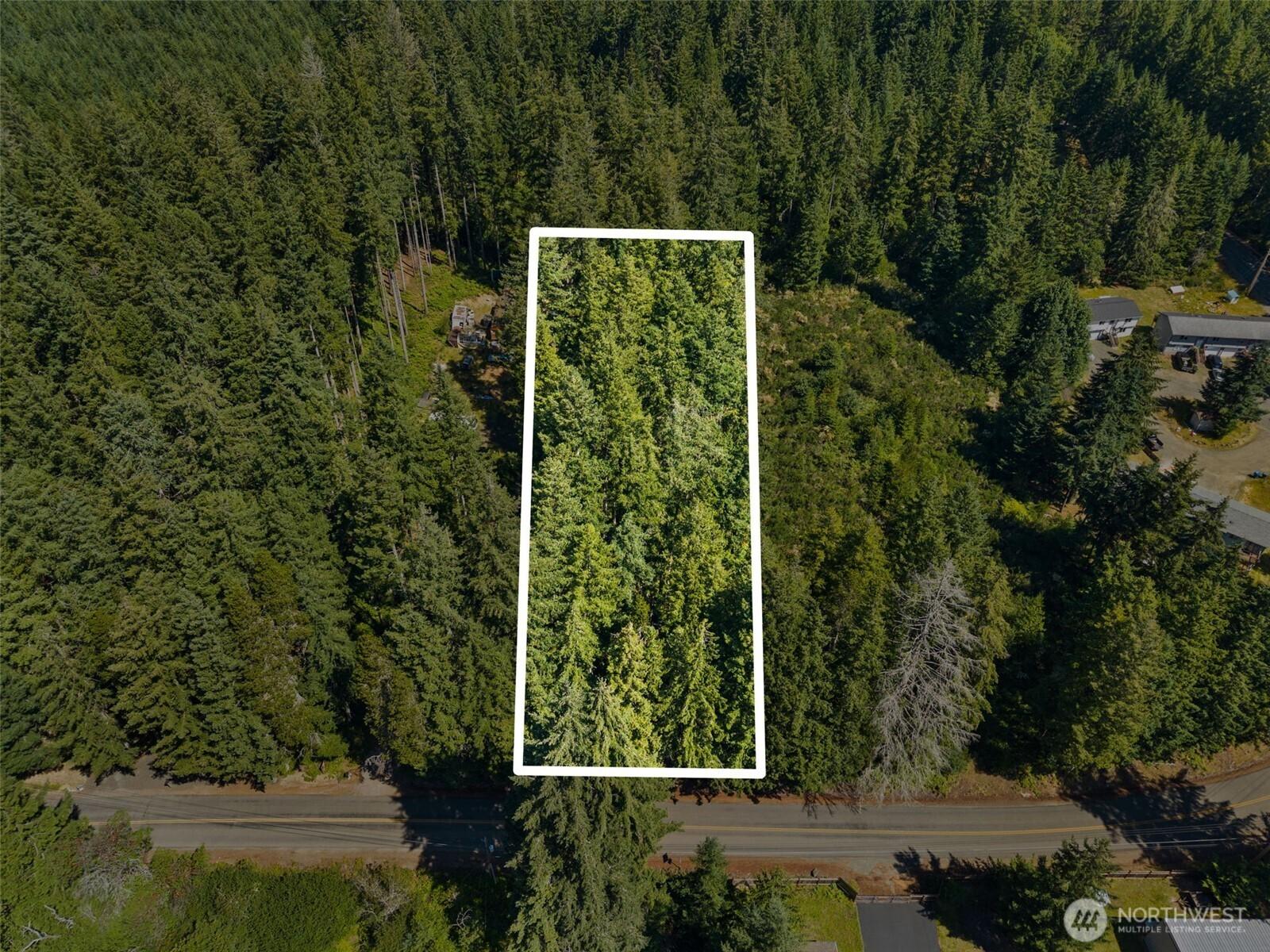 Image 4 Image 4