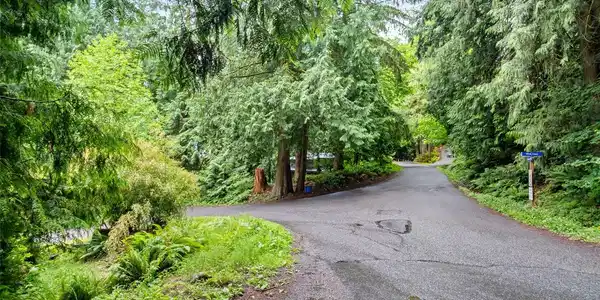 Image 4 Image 4