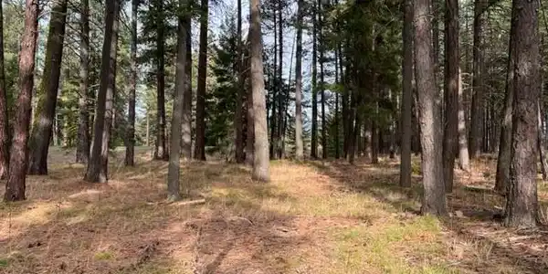 0 XXX Unknown