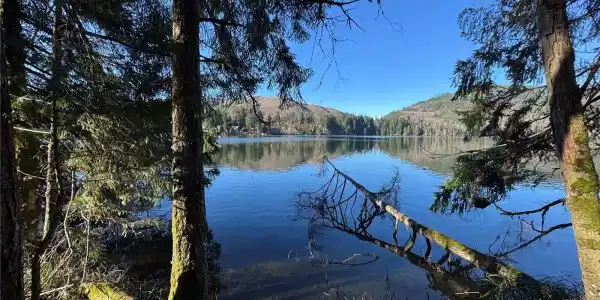 0 Mineral Creek N
