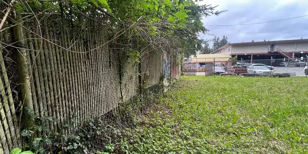 Image 4 Image 4