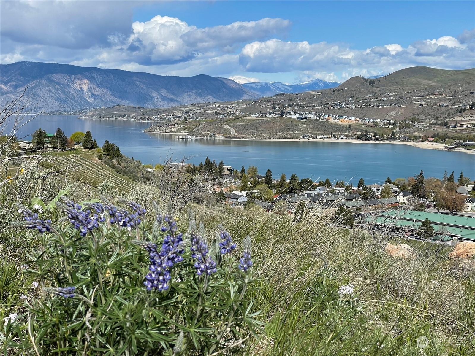 Image 1 Image 1
