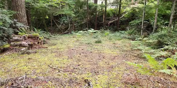 0 xxx Lake Christine