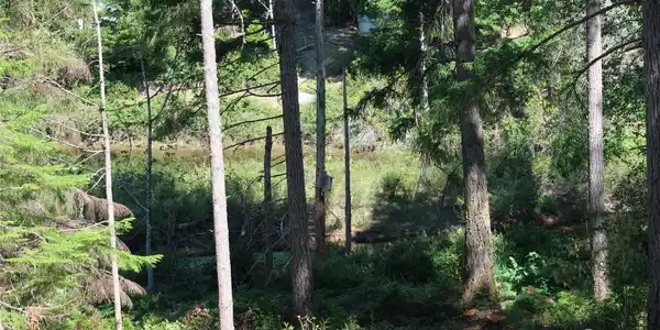 431 Collins Lake Dr.