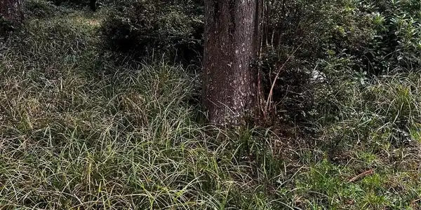 Image 3 Image 3