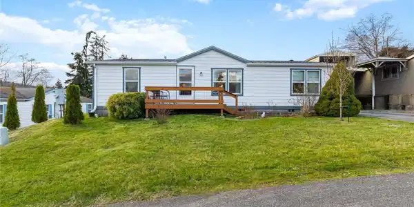 24167 Mahonia