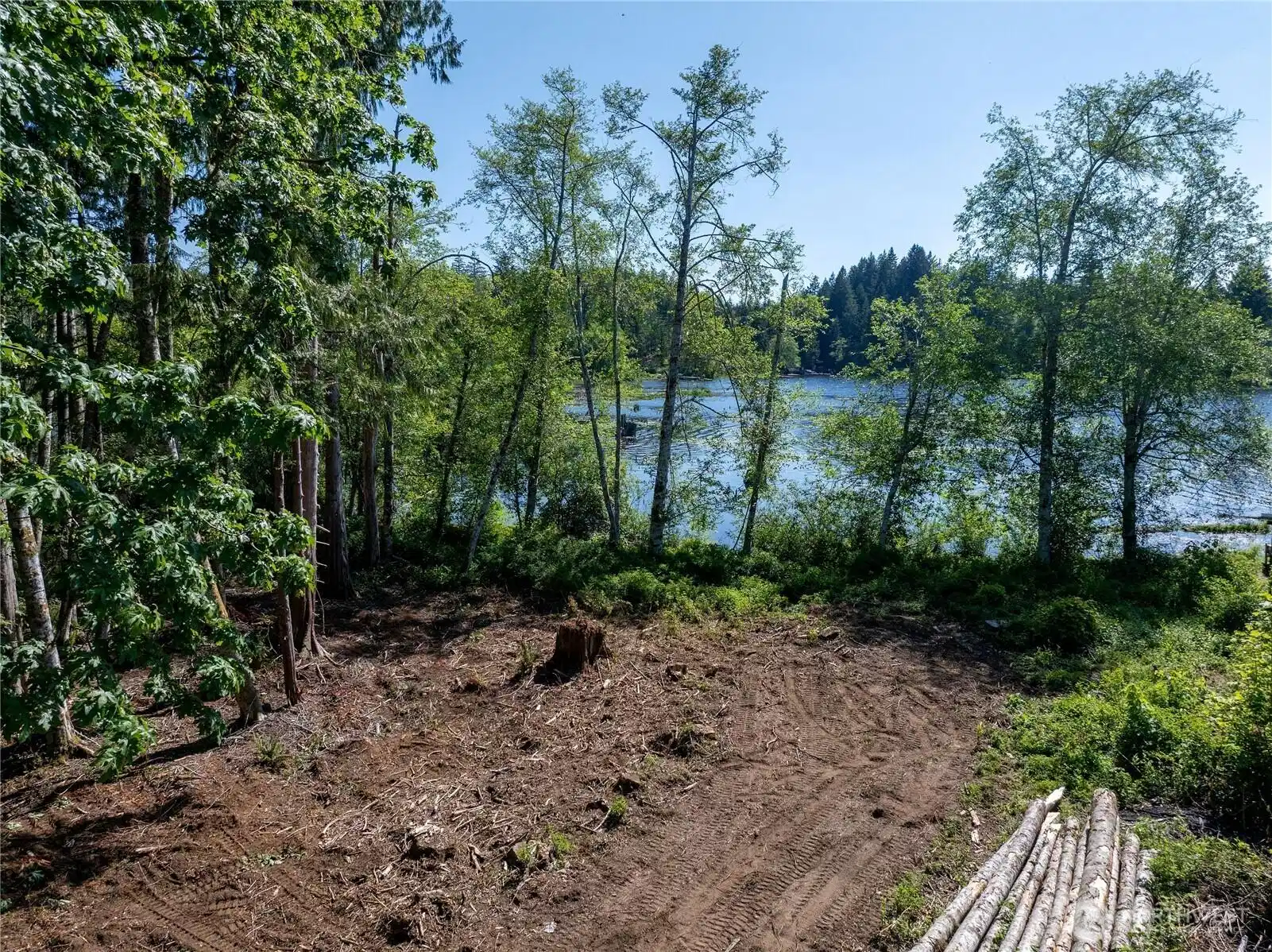 Image 1 Image 1