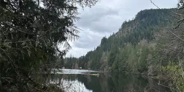 Image 4 Image 4