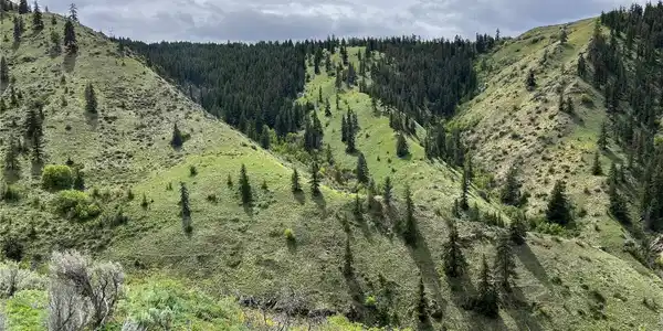 3 Tyee View