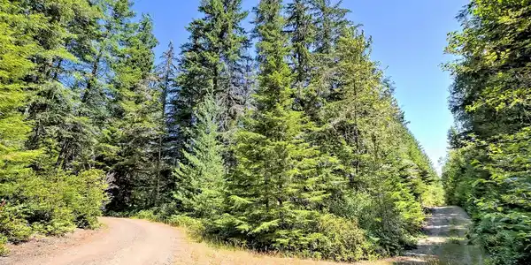 Image 4 Image 4
