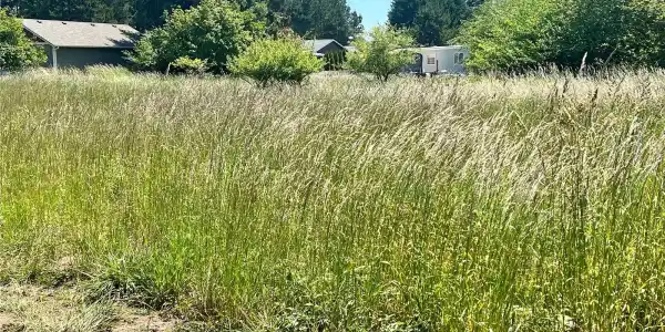 24600 lot 92 Ash