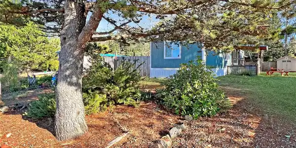 24306 Elm