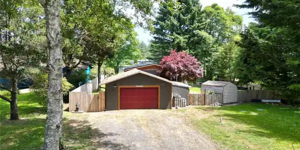 24004 Birch