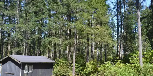 Image 2 Image 2