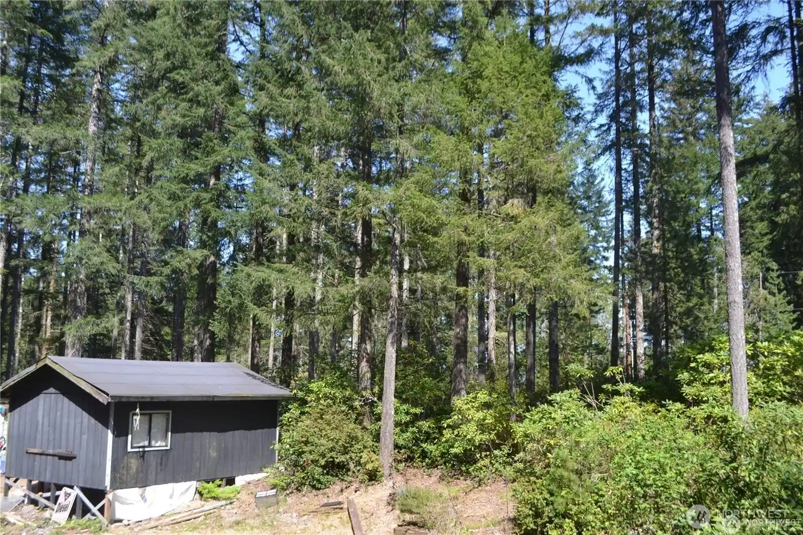 Image 1 Image 1