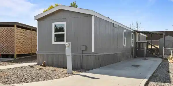 681 Lonetree