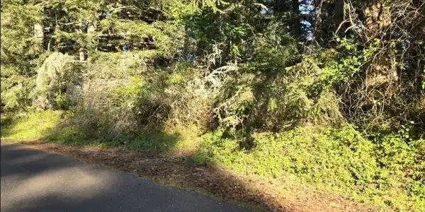 7925 Incline SE
