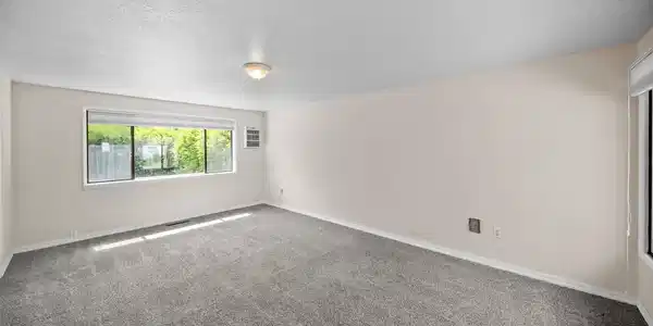 Image 4 Image 4
