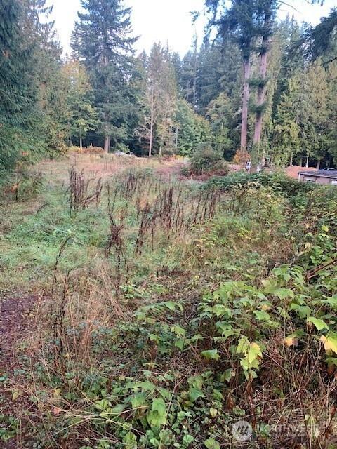 Image 1 Image 1