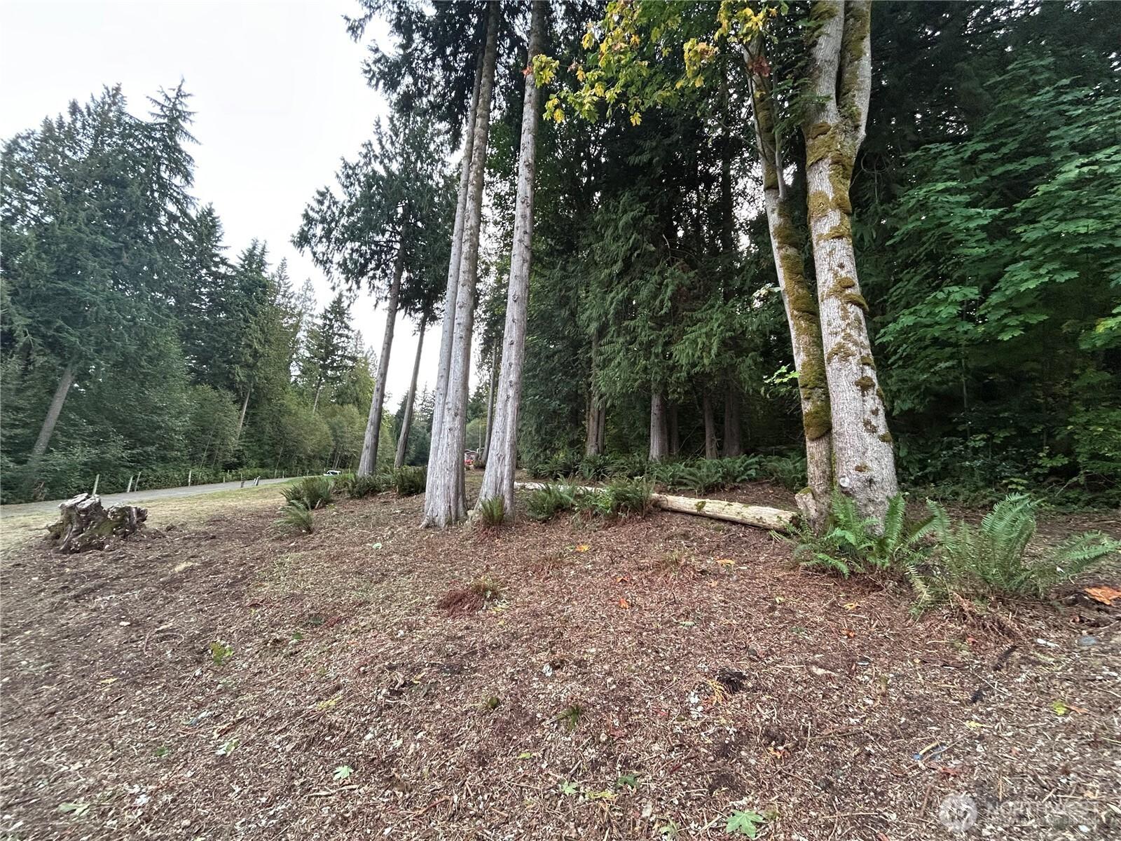 Image 4 Image 4