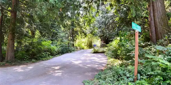 954 Kings View