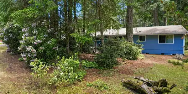 Image 4 Image 4