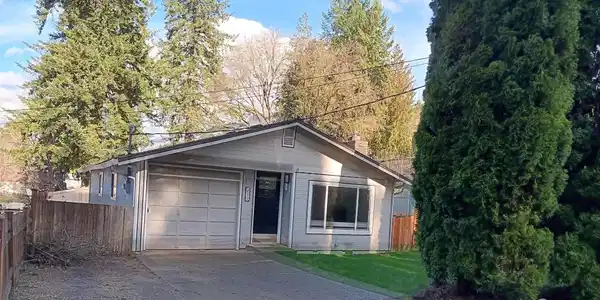 230 Spruce