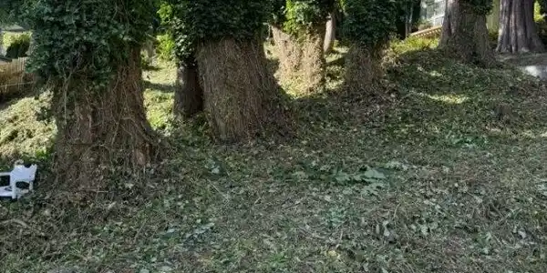 Image 3 Image 3