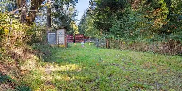 Image 4 Image 4