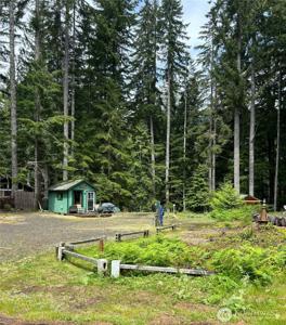 151 Quinault