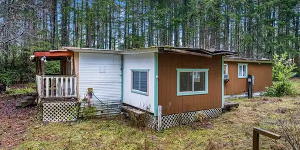 121 Pine Tree