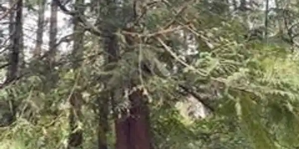 Image 2 Image 2