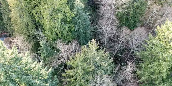 Image 4 Image 4